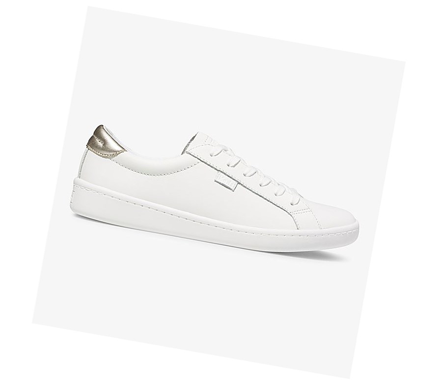 Zapatos con Cordones Keds Ace Cuero Mujer Blancos | RND178065