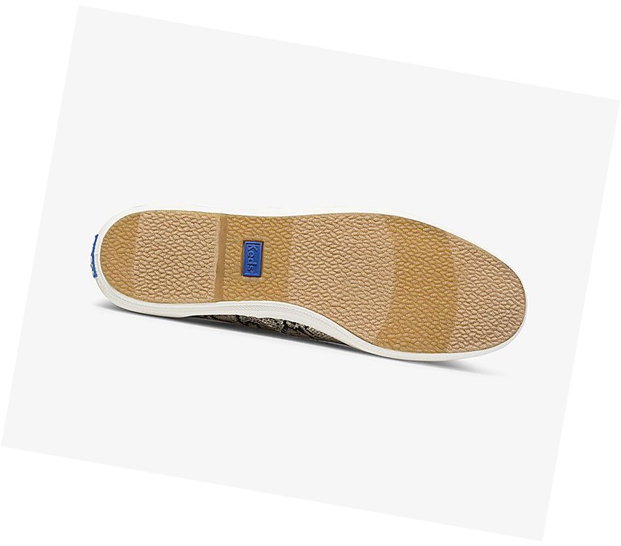 Zapatos con Cordones Keds Champion Animal Mujer Creme Serpent | FXN047368