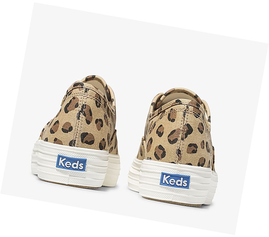 Zapatos con Cordones Keds Triple Leopard Mujer Marrom | GOH170425